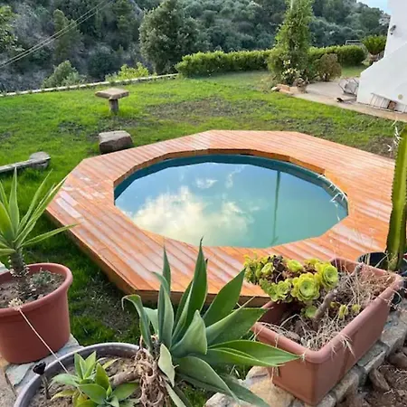 Camilla * チェファル