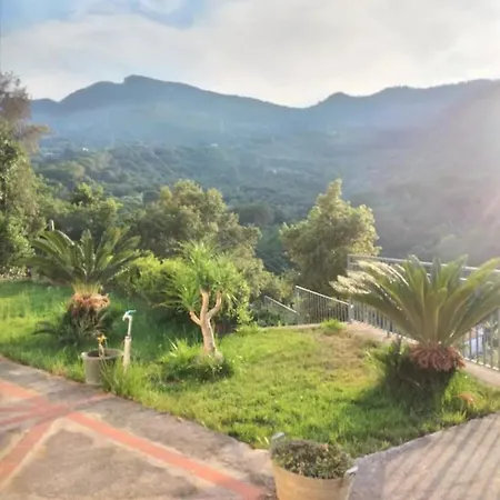 Camilla * チェファル